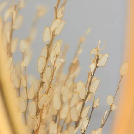 Daire Aerno & Azul ηοme - Ahilli Slow Living *