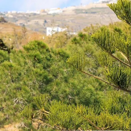 Apartment Aerno & Azul ηοme - Ahilli Slow Living *