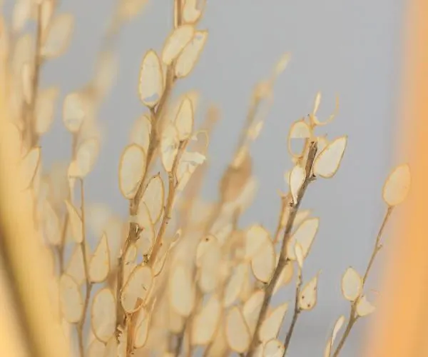 Lägenhet Aerno & Azul ηοme - Ahilli Slow Living *