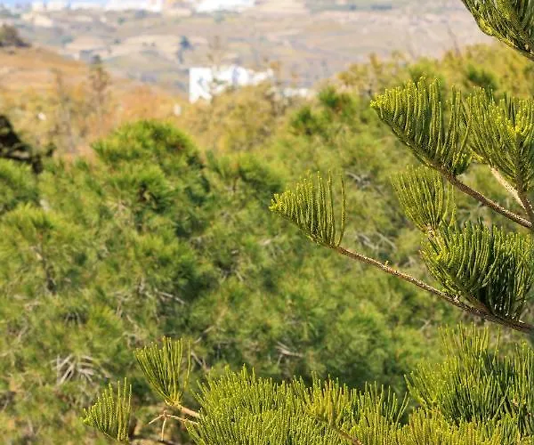 Lägenhet Aerno & Azul ηοme - Ahilli Slow Living *